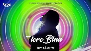 Tere Bina - Shivi R Kashyap X Codie | Official Audio