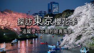 【4K HDR】城市中的櫻花盛宴，探索日本最美麗的季節｜Vlog