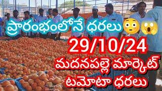 29-10-24 Madanapalle Tomato Market price Today || Today Tomato Market Rate in Madanapalle #today