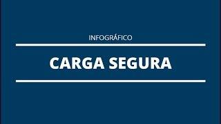 Carga Segura