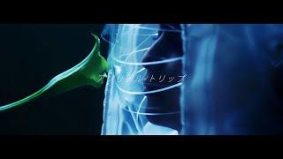 Eir Aoi『Unreal Trip』Music Video