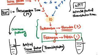 ***Hematology full