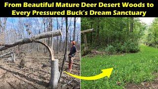 Guaranteed Way to Improve Deer Habitat and Deer Hunting Without Gimmicks