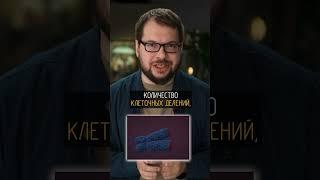 Можно ли сделать таблетку от старости?