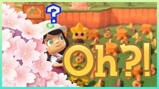 Das passiert, wenn ich Leute über NACHT auf meine Insel lasse!? - ANIMAL CROSSING NEW HORIZONS ep. 3