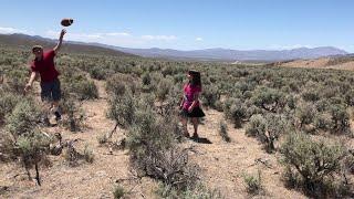 Great Basin Desert - endless sagebrush