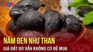 Nấm đen như than, giá đắt đỏ vẫn không có để mua | Báo Điện tử VOV