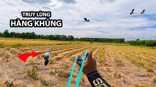 Ná cao su - truy lùng hàng khủng || slingshot Tùng vlog-ncs