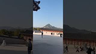 서울 경복궁#좋아 좋아#시절인연#좋은날#좋아요#가수#안성훈