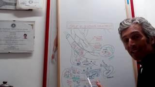 Il sale fa male - Nutrizionista livorno - dr Jacopo Querci