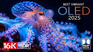 Best Vibrant 16K Video ULTRA HD - 16K HDR Dolby Vision