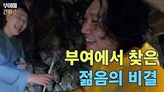 [간짜르]부여에 간짜르ㅣ젊음을 찾아서ㅣ장원막국수ㅣ부소산성ㅣ낙화암ㅣ고란사ㅣ신동엽문학관ㅣ국립부여박물관ㅣ백제금동대향로ㅣ백제해장국ㅣ시골통닭ㅣ사비 그리고 달 게스트하우스