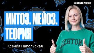 Митоз. Мейоз. Теория. ЕГЭ по биологии 2024 | Ксения Напольская