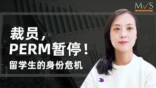硅谷梦碎！裁员，PERM暂停！华人员工的身份危机