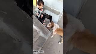 #smarthelping #viral #shorts