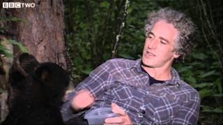 Gordon Buchanan Helps Abandoned Bear Cub - The Bear Family and Me - BBC