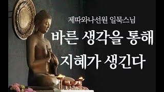 바른 생각을 통해 지혜가 생긴다ㅣ일묵스님ㅣ2019.4.10. 제따와나선원 정기법회