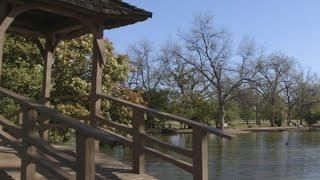 Choose Wichita Falls - Lucy Park
