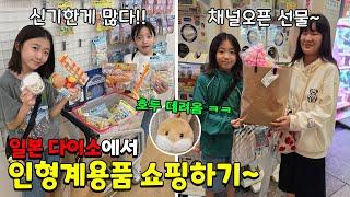 일본 다이소 인형계 용품을 잔뜩 샀어요!!! 신기한게 많아요! 인형계 채널을 오픈한 나린언니에게도 선물했어요~ 가족일상 브이로그 | 뚜아뚜지TV
