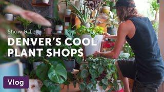 48 Hours in DENVER, Went to See COOL PLANT SHOPS — Vlog 054