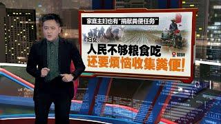 朝鲜爆“抢屎大战”   人民为粪便大打出手｜新闻报报看 24/01/2025