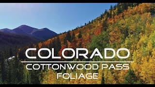 COLORADO FOLIAGE Cottonwood Pass