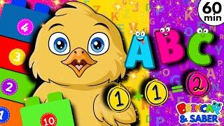 APRENDER: CORES, NÚMEROS, ANIMAIS e ALFABETO- ABC em PORTUGUÊS - Desenho infantil educativo