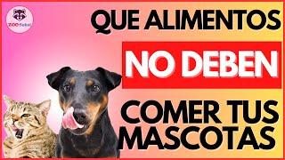 NO LES DES estos ALIMENTOS a tus MASCOTAS !