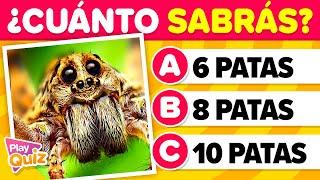 Preguntas que deberías Saber  - Nivel Fácil  | Cultura General | PlayQuiz Trivia