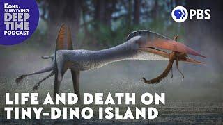 Life and Death on Tiny-Dino Island