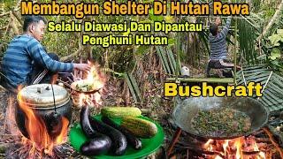 Membangun Shelter Di Hutan Rawa - Selalu Diawasi Dan Dipantau Penghuni Hutan - BUSHCRAFT