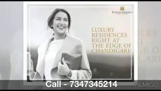 Curo One Platina Heights New Chandigarh | Commercial Property | Tricity Property Guru