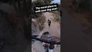 The Worst MTB Crash Ever  #downhill #mtb #fail