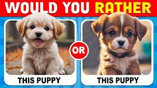 Would You Rather...? ANIMALS Edition  GlamQuiz