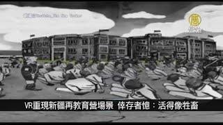 VR重現新疆再教育營場景 倖存者憶：活得像牲畜｜寰宇掃描