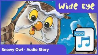 Wide Eye - Snowy Owl (Audio Book)