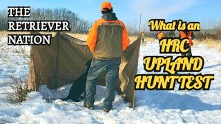 What is an HRC Upland Hunt Test~Learn what to train for and what to expect in an HRC Upland Hunt~TRN