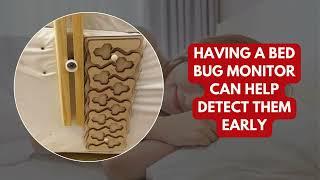 How Bed Bug Monitors Can Prevent Infestations From Worsening - Clearview Bed Bug Monitor