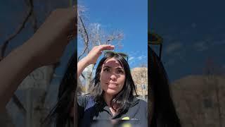 Как помогают наркоманам и бездомным в Лос-Анджелесе?