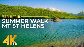 4K Relaxing Summer Walk at Mount St Helens - Coldwater Lake Hike + Nature Sounds & Ambient Music