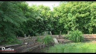 La création d'un jardin-forêt ou  forêt nourricière