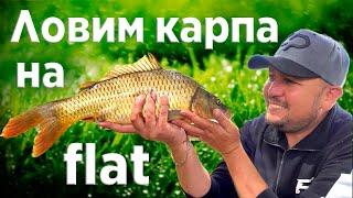 ЛОВЛЯ  КАРПА на ФЛЭТ ФИДЕР летом! Секреты ловли карпа на Flat Feeder!