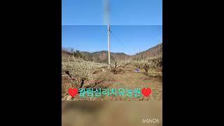 월림심리치유농원 전지및 전정