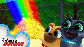 Bingo and Rolly's Pot of Gold | Puppy Dog Pals | Disney Junior