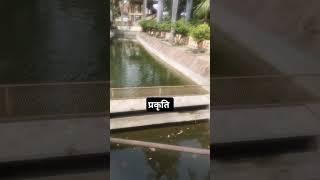 prakriti ka drishya #reels #youtubeshorts #trending
