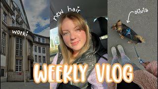 Jura Vlog - a week in my life: Aktuelle Lernroutine, mein Plan und wie es weiter gehen soll 