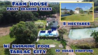 Lot#593 farmhouse w/ private pool,10 holes fishpond,mango trees, riceland. 5 has 800/sqm tarlac city