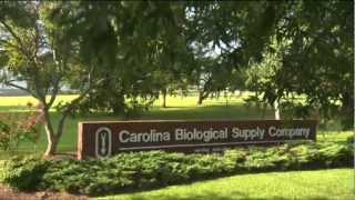 Carolina Biological Supply (Presentacion en Castellano)