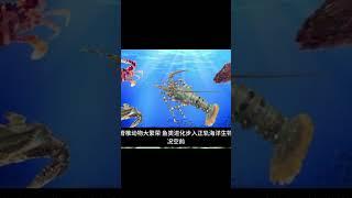 恐龙之前的地球，恐怖吗？26分钟带你穿越史前恐怖世界恐龙之前的地球到底有多恐怖？#史前地球 #恐龙之前 #史前恐怖 #探索史前 #地球历史 #神秘世界 #史前生物 #恐怖探索 #史前冒险 #地球奥秘