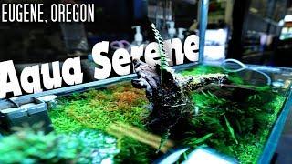 Aquarium Store Tour 2019 Aqua Serene, Oregon